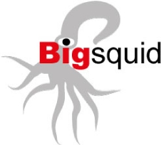 bigsquidlogo
